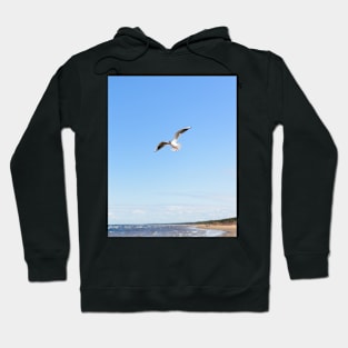 White seagull flying above the seacoast Hoodie